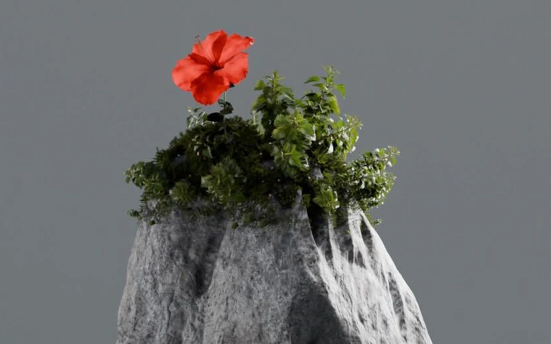 Detail: the red flower and foliage at the top of the stone